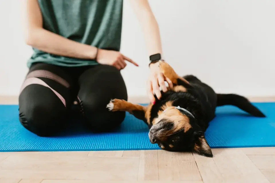 A dog lying calmly on a mat while its owner cooks nearby in the kitchen