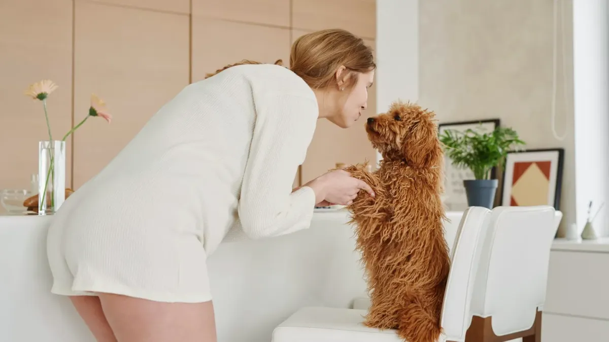 A dog owner reading the ingredient panel on a supplement bottle in a kitchen