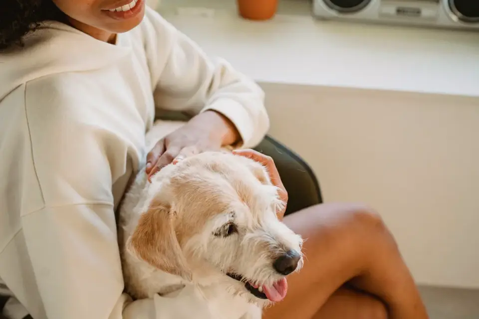 A dog owner reading the ingredient panel on a supplement bottle in a kitchen