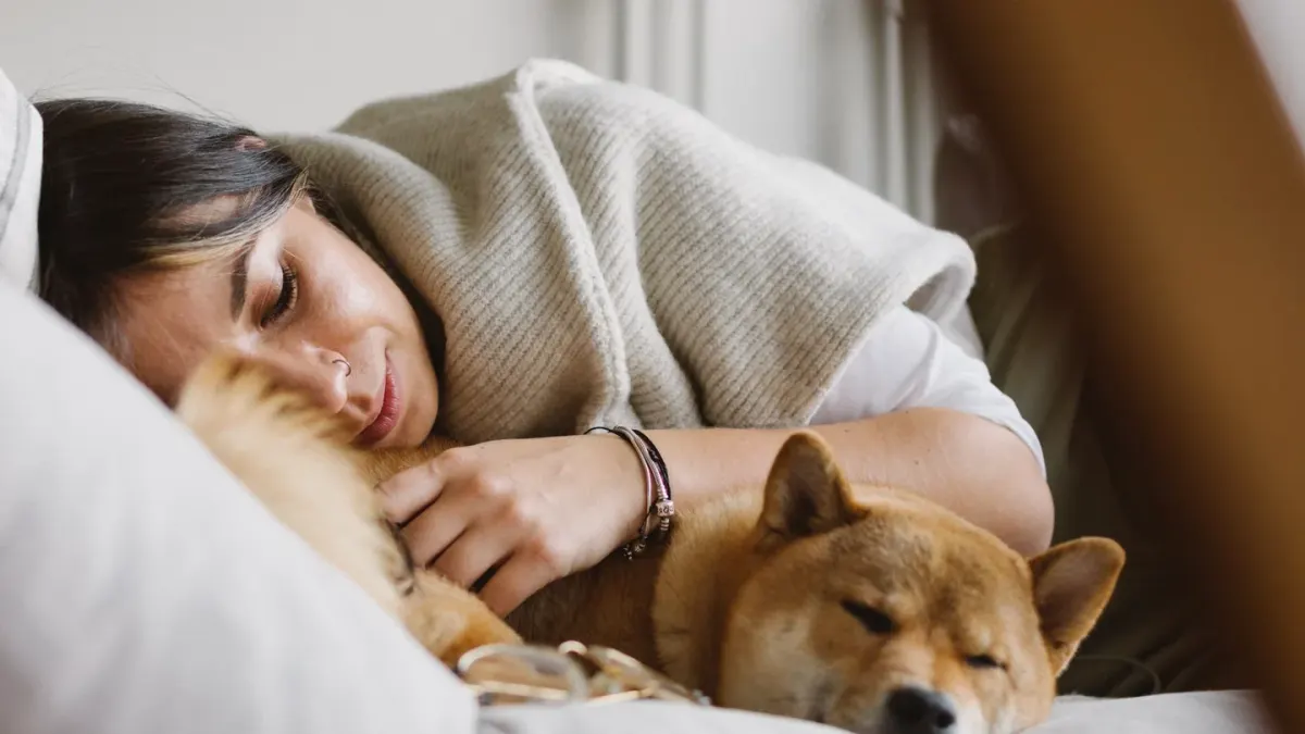 A dog resting calmly on a couch cushion while an owner sits nearby