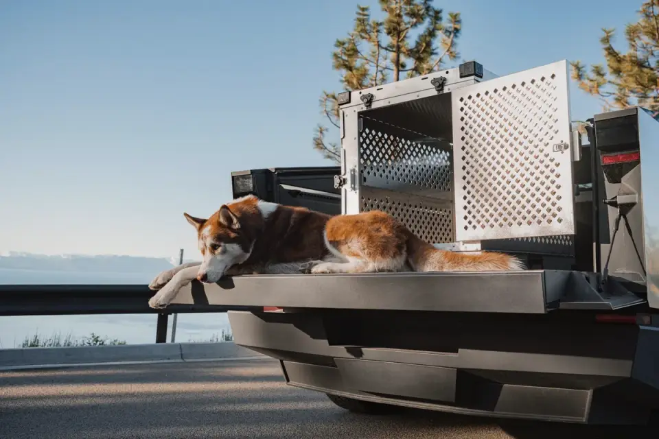 A dog secured in a crate in the back of a car for a road trip