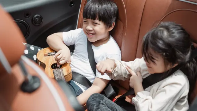 A dog sitting in the back seat of a car wearing a harness clipped to the seat belt buckle