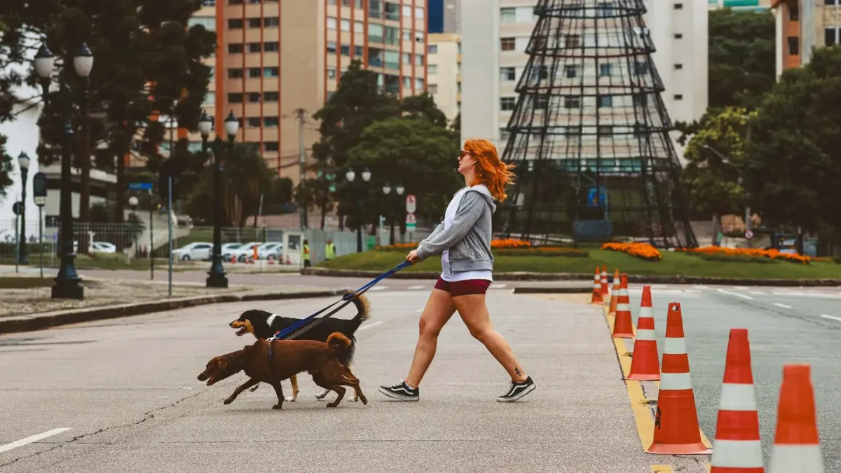 A leashed dog pulling backward and barking while another dog passes at a distance on a sidewalk