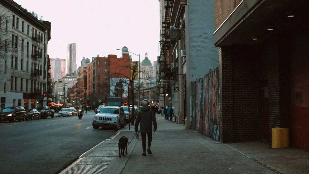 A medium-sized dog walking on a neighborhood sidewalk beside its owner