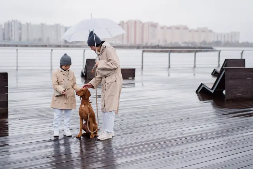 A person&#x27;s hands gripping a coated dog leash in wet weather