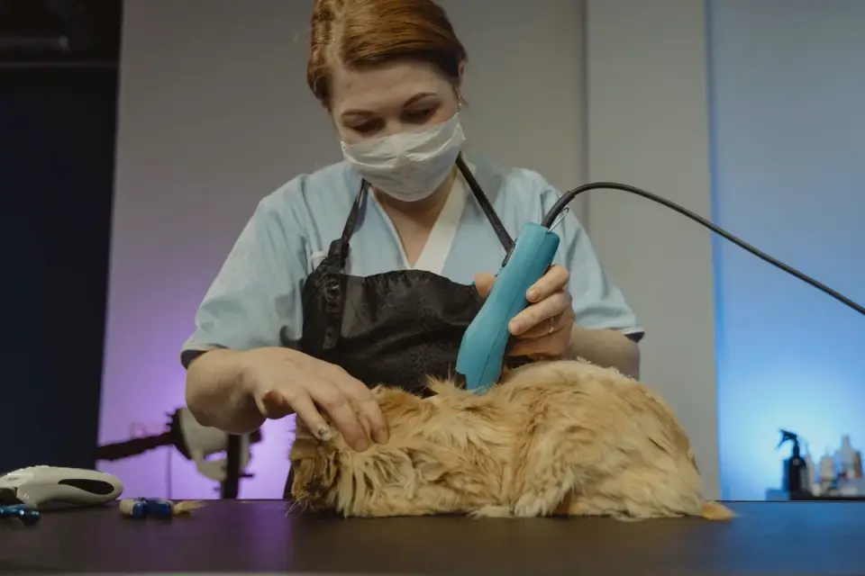A professional groomer carefully trimming a dog's paw with clippers
