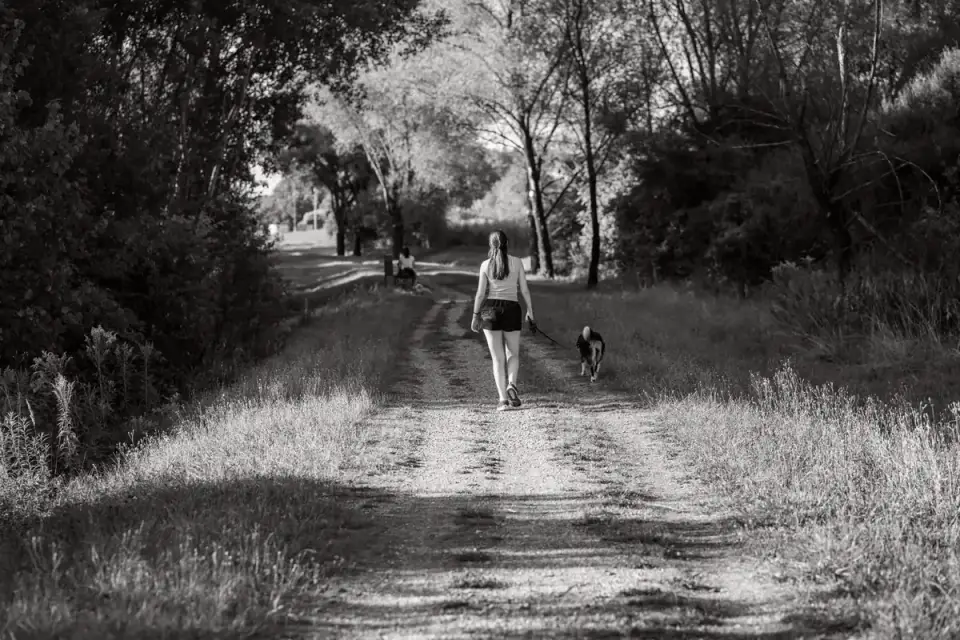 A senior dog walking along a gravel trail beside its owner