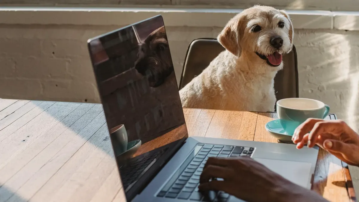 A supplement bottle for dogs sitting on a counter beside an open laptop showing an online checkout page