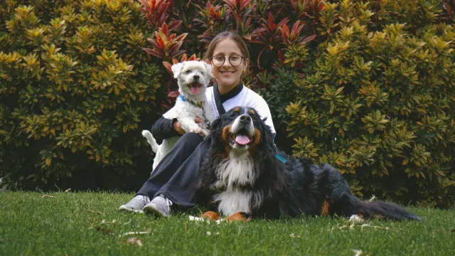 A veterinarian gently examining a dog on a stainless steel exam table while a second dog waits nearby