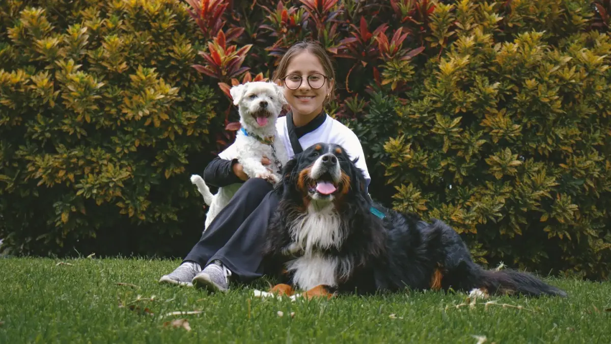 A veterinarian gently examining a dog on a stainless steel exam table while a second dog waits nearby