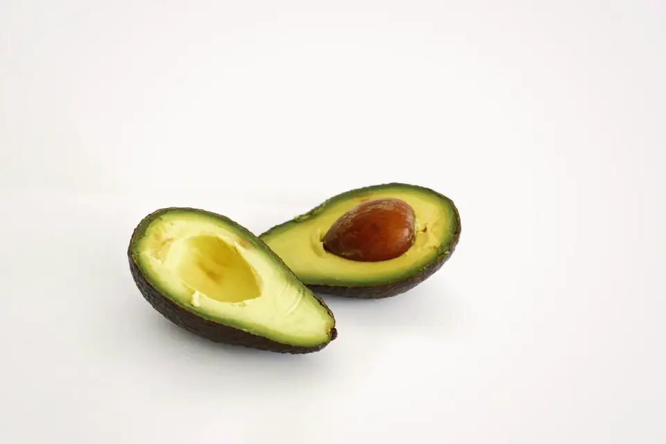 Avocado pit resting on a kitchen floor near a dog&#x27;s paws