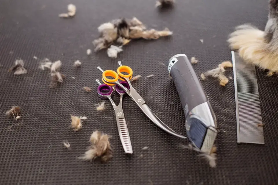 Close-up of a de-shedding comb pulling loose undercoat fur from a dog's coat