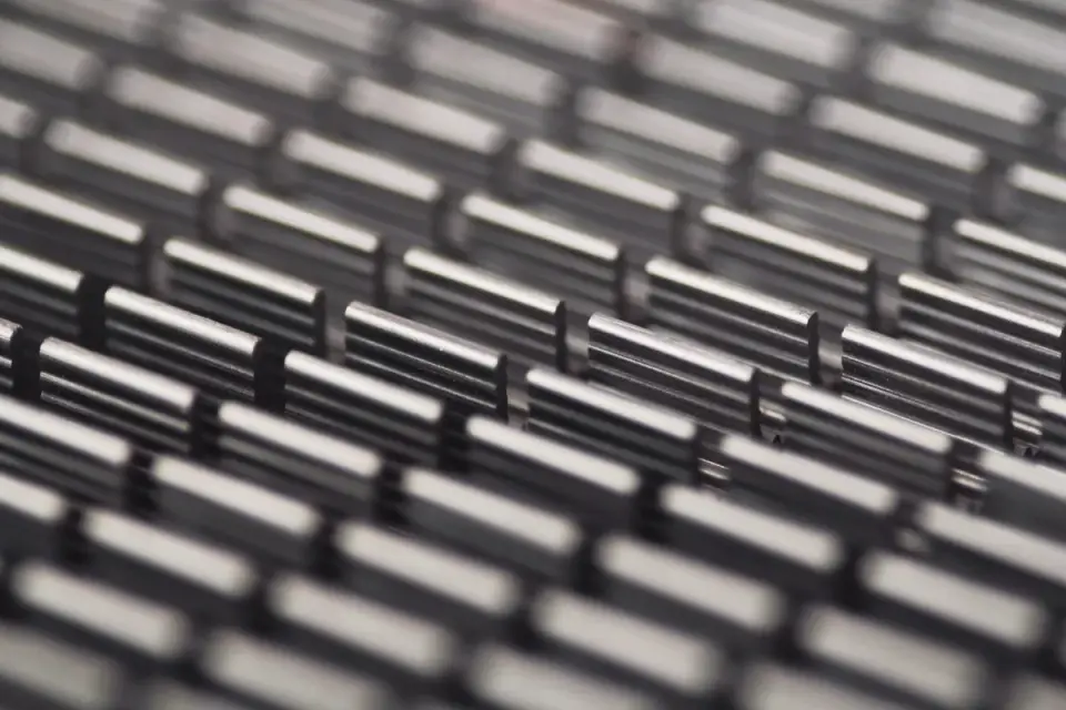 Close-up of a metal undercoat rake with two rows of long pins