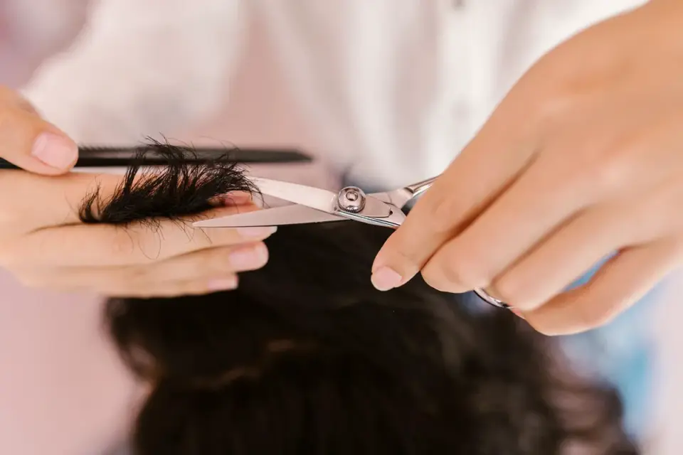 Close-up of rounded-tip grooming scissors trimming fur near a dog&#x27;s eye