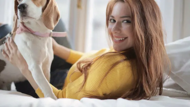 Dog with an owner