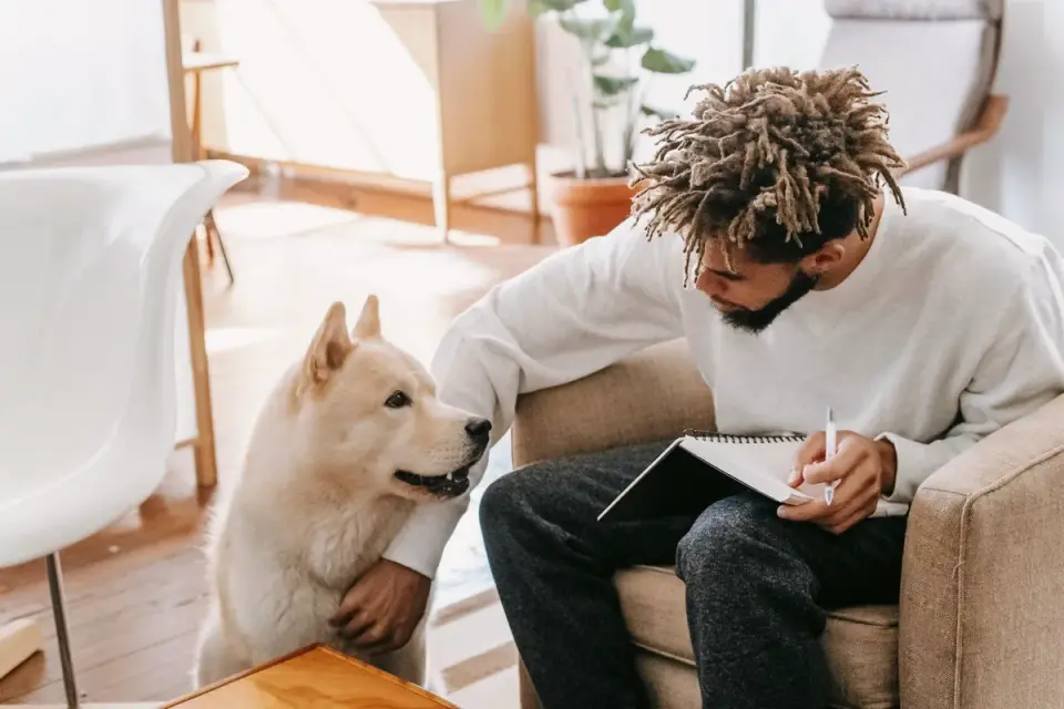 Dog with an owner