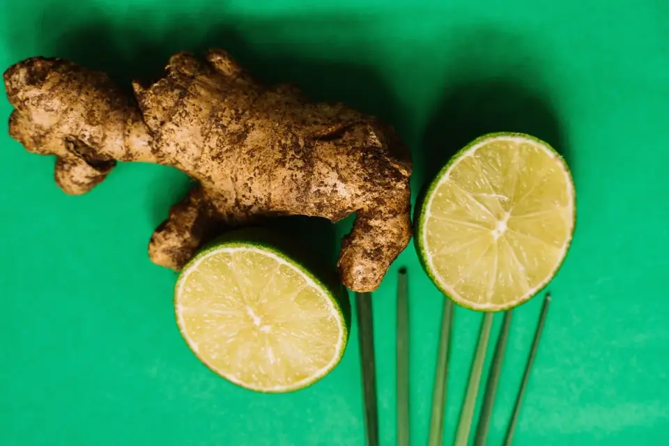 Fresh ginger root next to dog treats on a kitchen counter