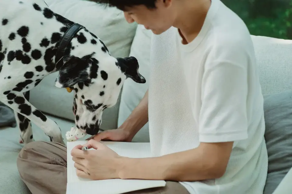 Owner writing in a notebook near the front door while a dog waits nearby