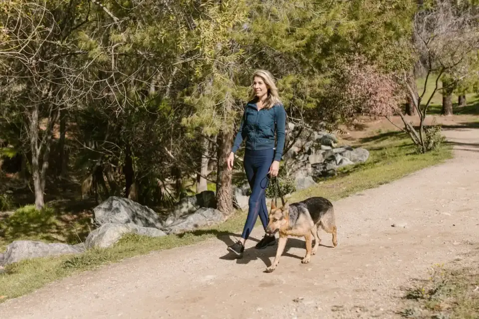 Senior dog walking with an owner