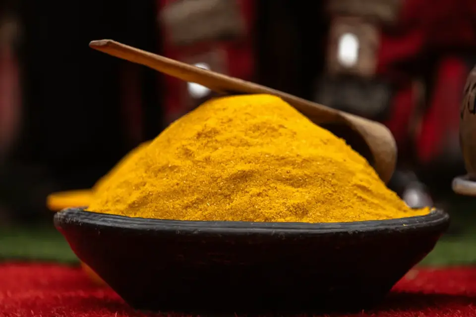 Supplement powder being mixed into a bowl of dry dog food